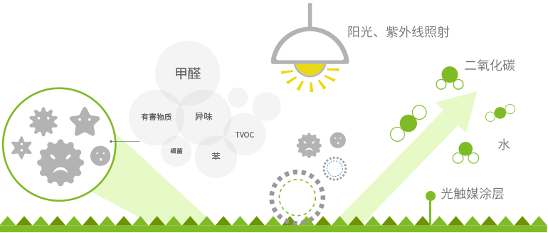 專(zhuān)業(yè)除甲醛