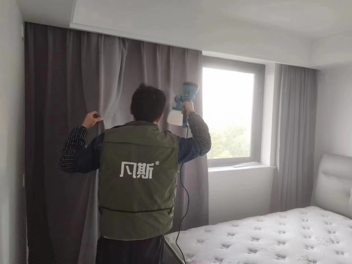 家居綠植該怎么選？好看又能清新空氣