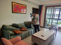 意大利進口真皮沙發(fā)除甲醛產品指定用品