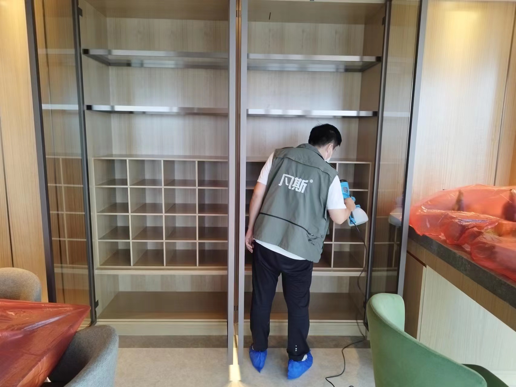 家里綠植的選購技巧，凈化室內(nèi)空氣