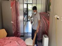 甲醛的危害及清除方法？